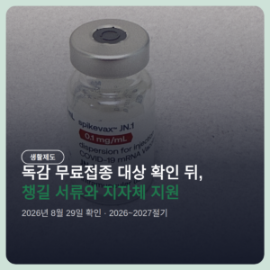 독감 무료접종 대상 확인 뒤 챙길 서류, 임신부는 산모수첩