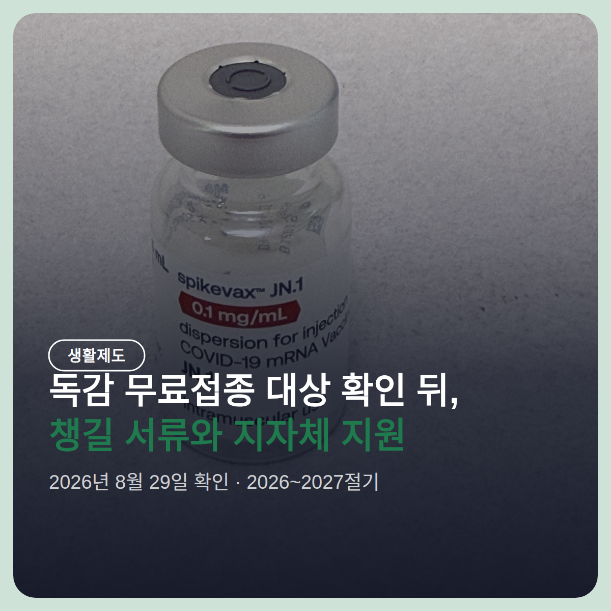 독감 무료접종 대상 확인 뒤 챙길 서류, 임신부는 산모수첩