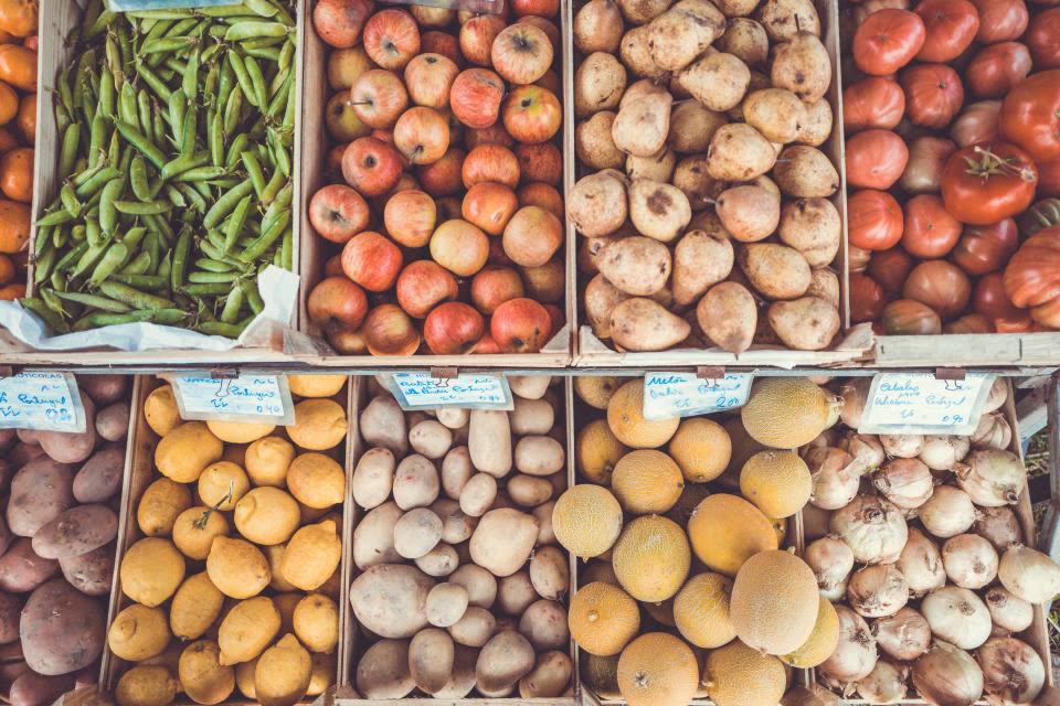 Food Fruits — 신선식품지수는 전년 대비 6.7% 하락하며 2021년 10월 이후 최대 폭으로 떨어졌다.