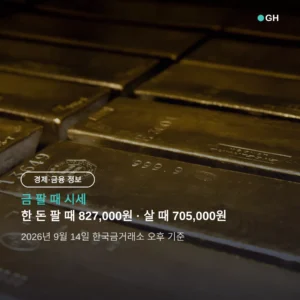 금 팔 때 시세 한 돈 얼마 — 팔 때 827,000원, 살 때와 12만원 차이의 이유
